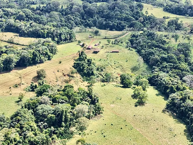 Venta de Finca San Carlos Betania de Cutris  $12.500 x hect 125 hect - Imagen 6