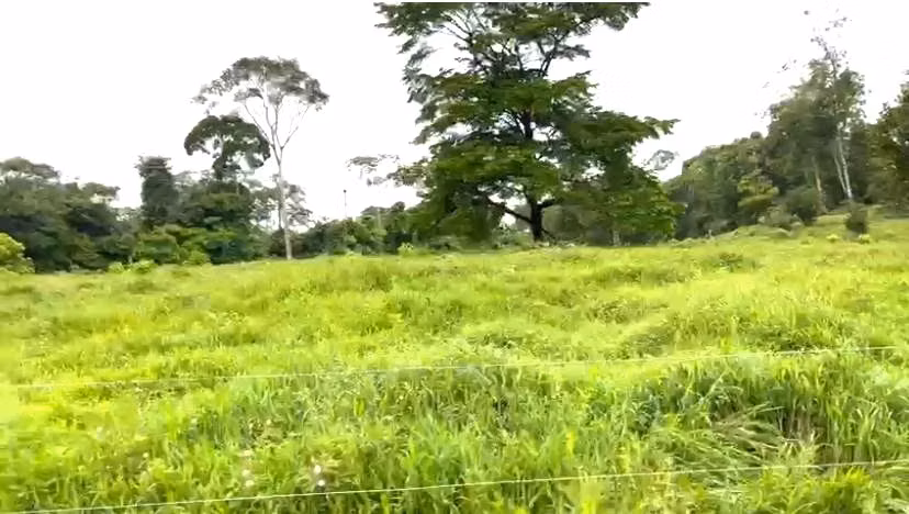 Venta de Finca San Carlos Betania de Cutris  $12.500 x hect 125 hect - Imagen 14