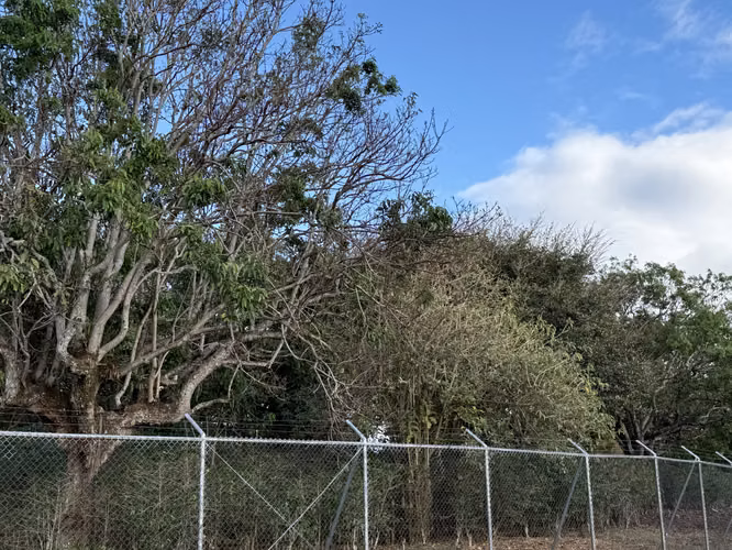 G.A. Venta de Terreno en San Rafael de Heredia.