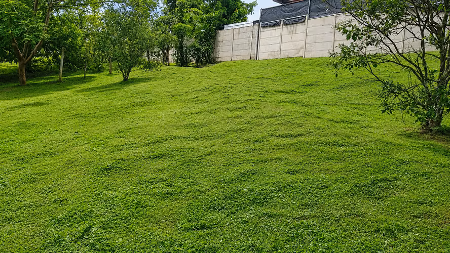 OPORTUNIDAD DE INVERSIÓN  – TERRENO EN VENTA SANTA RITA,  OROTINA. - Imagen 3
