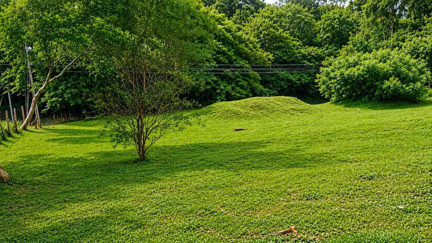 OPORTUNIDAD DE INVERSIÓN  – TERRENO EN VENTA SANTA RITA,  OROTINA. - Imagen 1