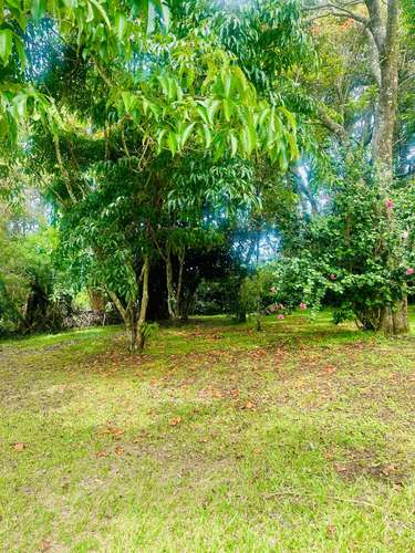 VENTA DE CASA EN SAN ISIDRO DE HEREDIA, USO DE SUELO MIXTO - Imagen 11