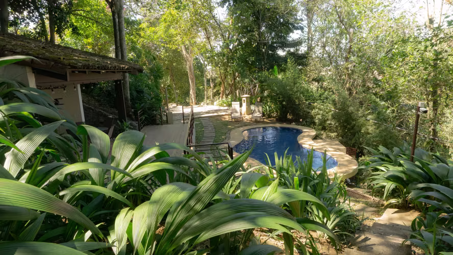 Exclusividad y Confort en el Corazón de Brasil de Mora – Donde el Bosque se Convierte  en Hogar