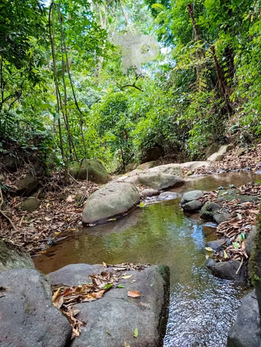 SE VENDE FINCA BIRRÍ SANTA BÁRBARA HEREDIA ZSP3 - Imagen 18