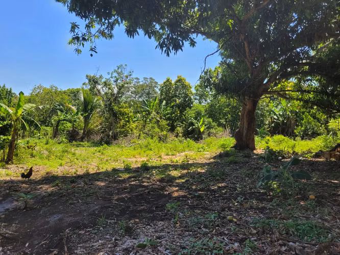 Orotina propiedad comercial en venta - Imagen 7
