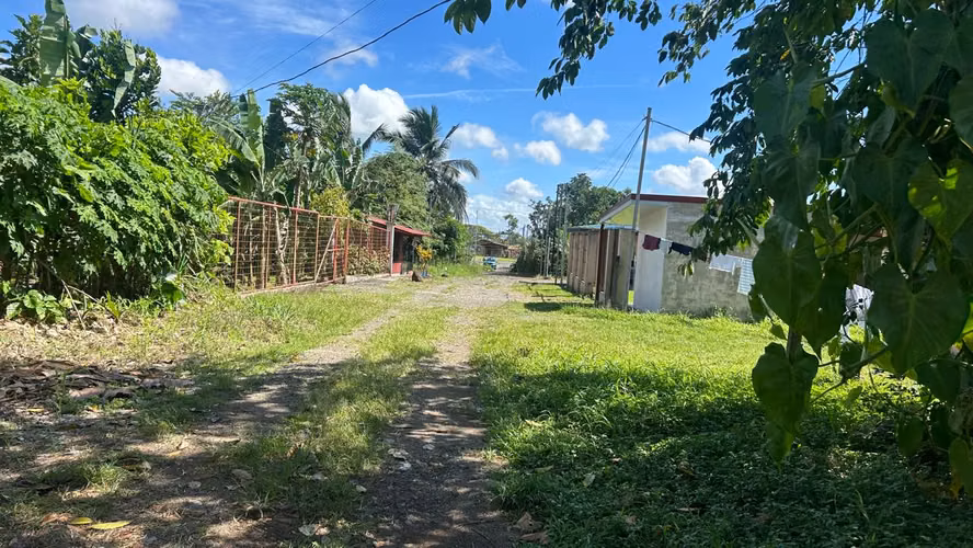 Venta de terreno en Guápiles - Imagen 6