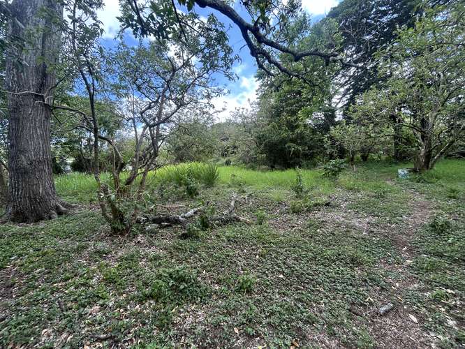 Lote plano Santo Domingo