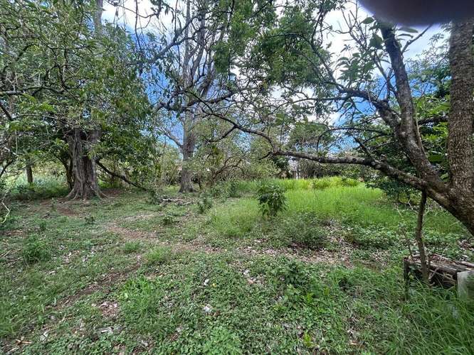 Lote plano Santo Domingo