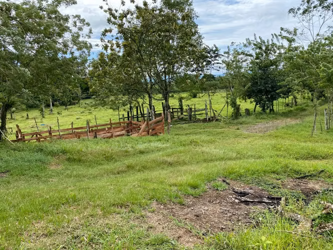 FI-132  SE VENDE FINCA EN SIQUIRRES - Imagen 4