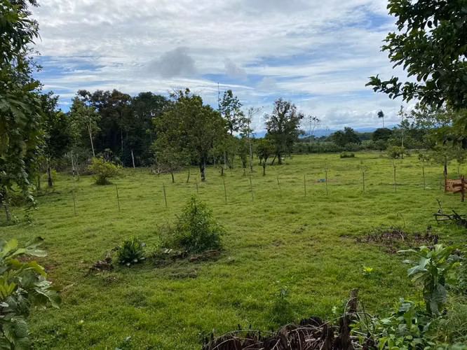 FI-132  SE VENDE FINCA EN SIQUIRRES - Imagen 2