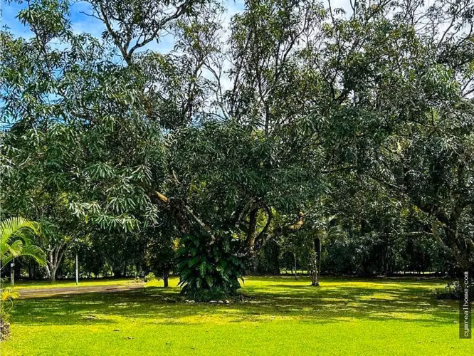 VENTA Quinta de Ensueño en San Pablo de Turrubares con Piscina, Cabaña y 1 Hectárea de Naturaleza - Imagen 19