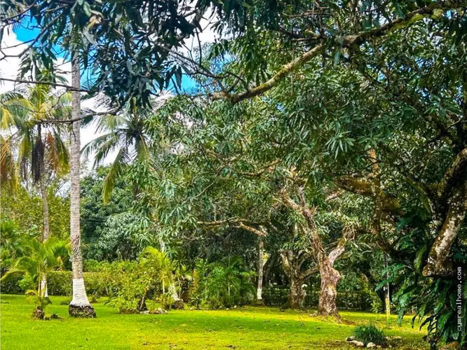 VENTA Quinta de Ensueño en San Pablo de Turrubares con Piscina, Cabaña y 1 Hectárea de Naturaleza - Imagen 15