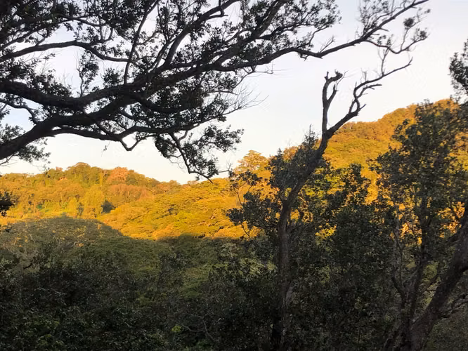 SE VENDE EN PROPIEDAD EN SANTA MARIA LIBERIA CON CABAÑA