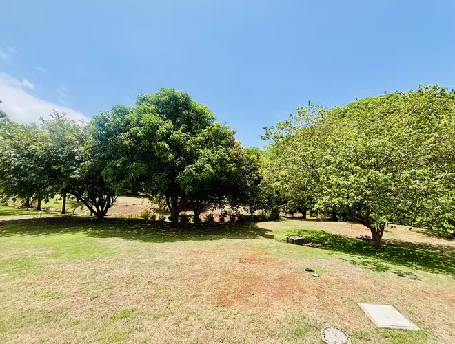 Rebajada. Quinta en San Mateo, con amplia casa, piscina y árboles frutales