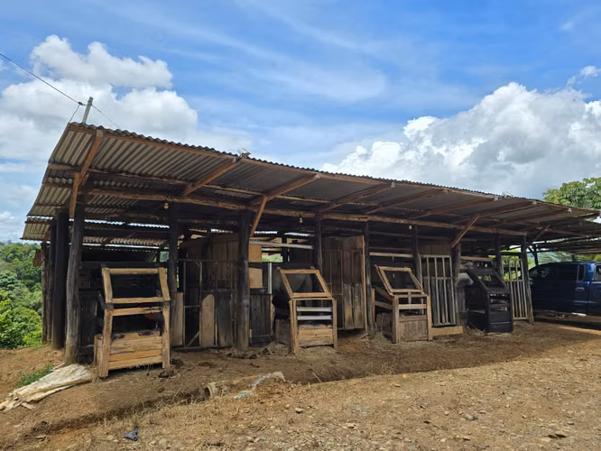 VENTA DE HERMOSA FINCA, UBICADA EN ARENILLA DE SAN PEDRO, PÉREZ ZELEDÓN - Imagen 11