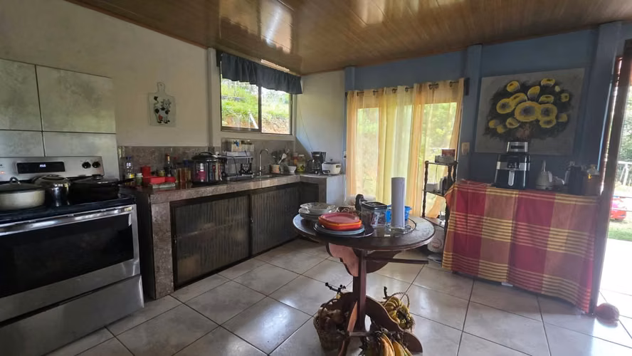 VENTA DE HERMOSA FINCA, UBICADA EN ARENILLA DE SAN PEDRO, PÉREZ ZELEDÓN - Imagen 8