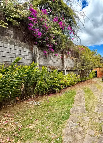 casa uso Comercial y Residencial en Guayabos 1 planta - Imagen 2