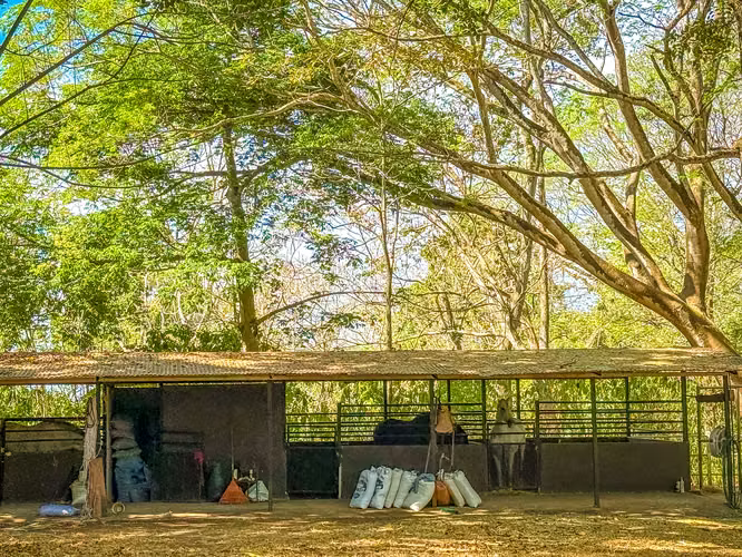 Oportunidad única de inversión en Jesús María de San Mateo, Alajuela HG - Imagen 15