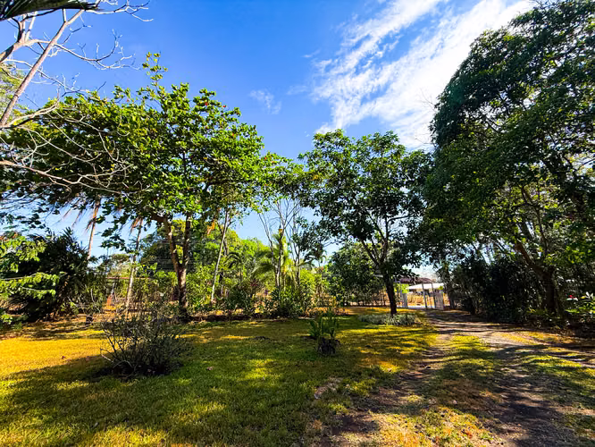 Oportunidad única de inversión en Jesús María de San Mateo, Alajuela HG - Imagen 13