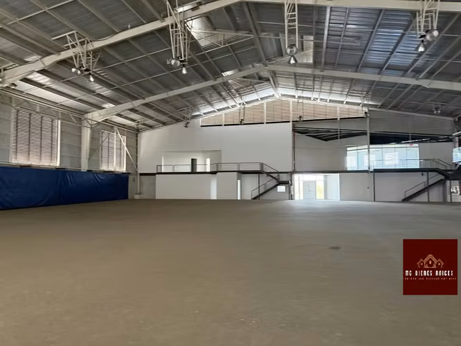 Bodega de 4500 metros - Imagen 4