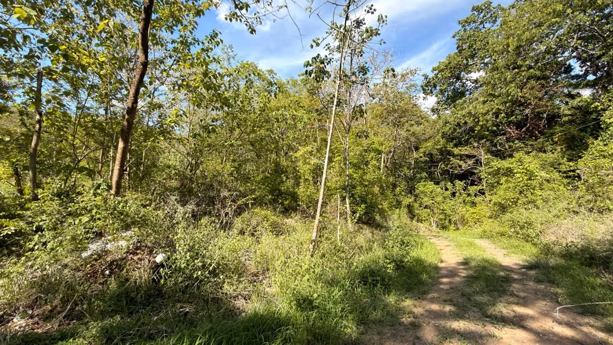 Lote en venta en Nicoya - Mansion - Residencial - Imagen 6