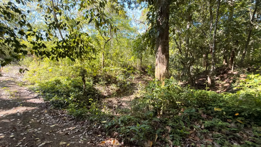 Lote en venta en Nicoya - Mansion - Residencial - Imagen 9