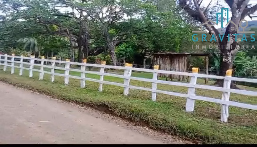 Finca en venta en Santa Cruz, Guanacaste (136 hectáreas) ID 1863 - Imagen 15