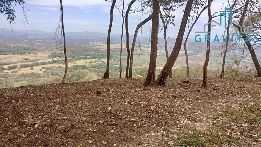 Finca en venta en Santa Cruz, Guanacaste (136 hectáreas) ID 1863 - Imagen 9