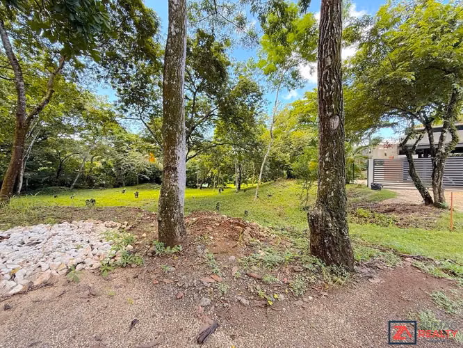 VENTA LOTE EN CARRILLO | 3 MIN DE PLAYA | 15 MIN SÁMARA - Imagen 3