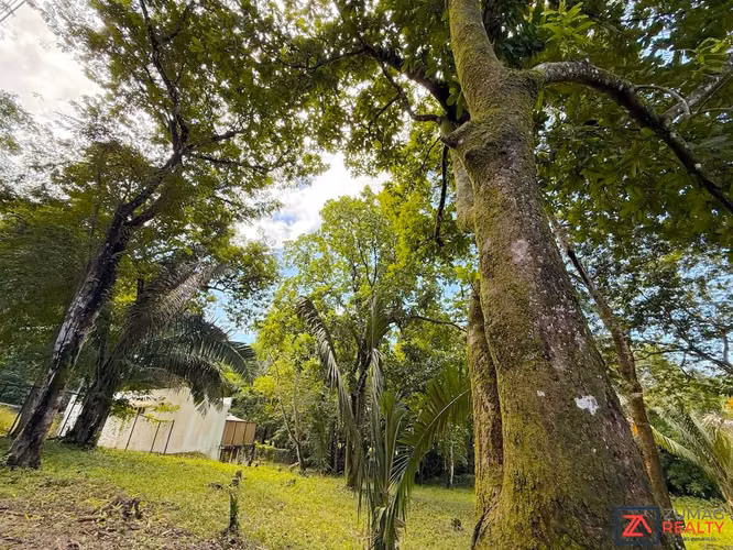 VENTA LOTE EN CARRILLO | 3 MIN DE PLAYA | 15 MIN SÁMARA - Imagen 1