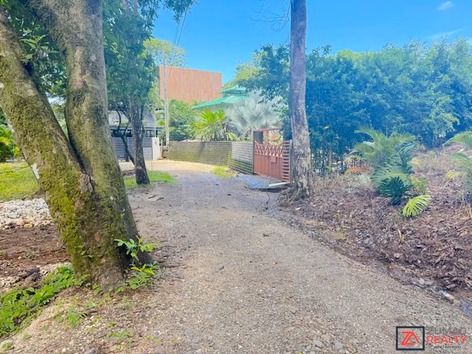 VENTA LOTE EN CARRILLO | 3 MIN DE PLAYA | 15 MIN SÁMARA - Imagen 9