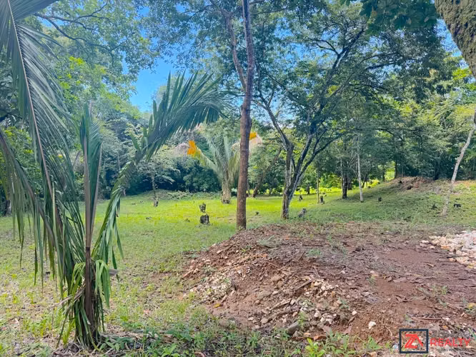 VENTA LOTE EN CARRILLO | 3 MIN DE PLAYA | 15 MIN SÁMARA - Imagen 10