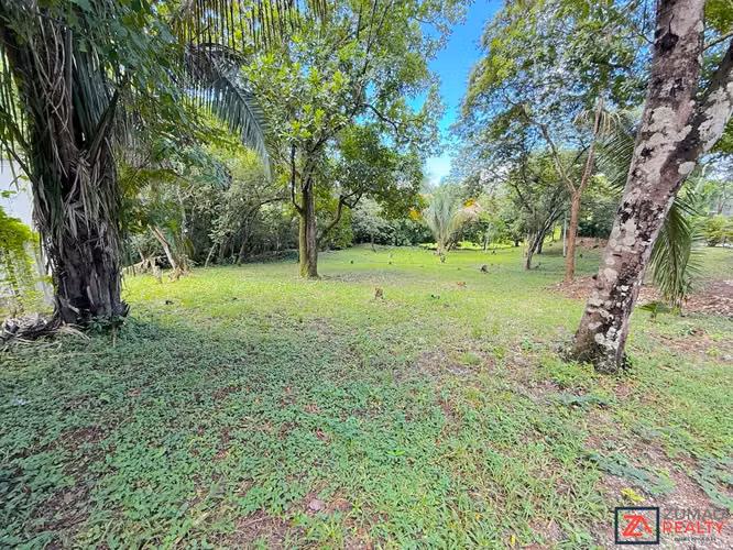 VENTA LOTE EN CARRILLO | 3 MIN DE PLAYA | 15 MIN SÁMARA - Imagen 8