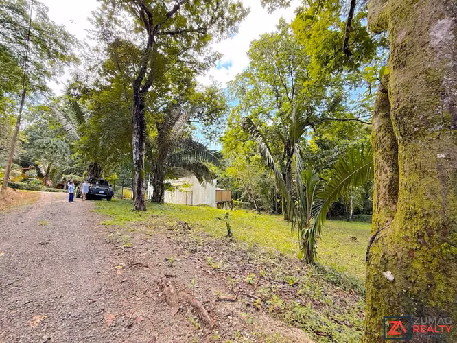 VENTA LOTE EN CARRILLO | 3 MIN DE PLAYA | 15 MIN SÁMARA - Imagen 2