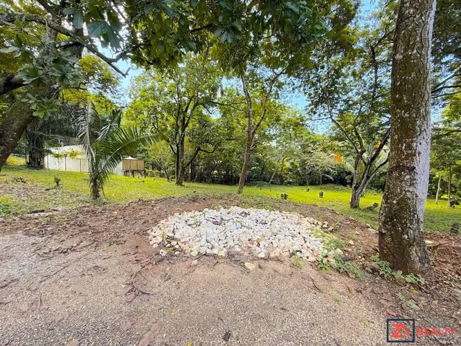 VENTA LOTE EN CARRILLO | 3 MIN DE PLAYA | 15 MIN SÁMARA - Imagen 7