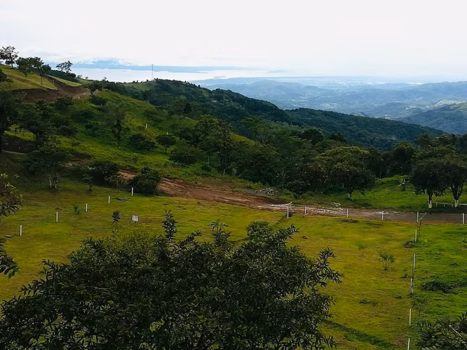 Hermoso Lote en Venta con Impresionantes Vistas en San Ramón - Imagen 10