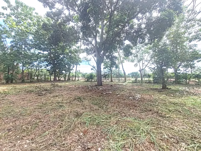Venta lote San Mateo Jesús María   UNA GANGA - Imagen 2