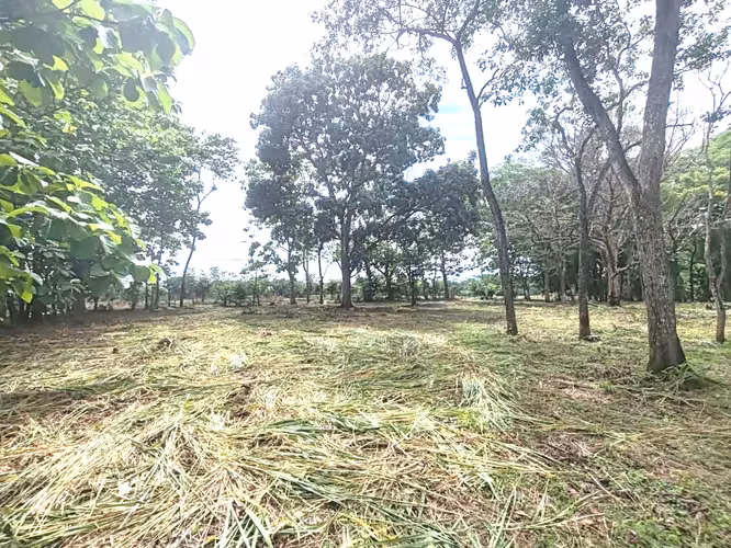 Venta lote San Mateo Jesús María   UNA GANGA - Imagen 9