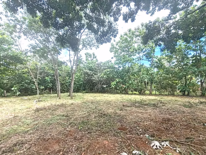 Venta lote San Mateo Jesús María   UNA GANGA - Imagen 4
