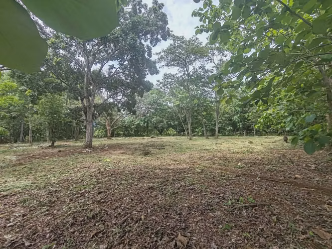Venta lote San Mateo Jesús María   UNA GANGA - Imagen 7