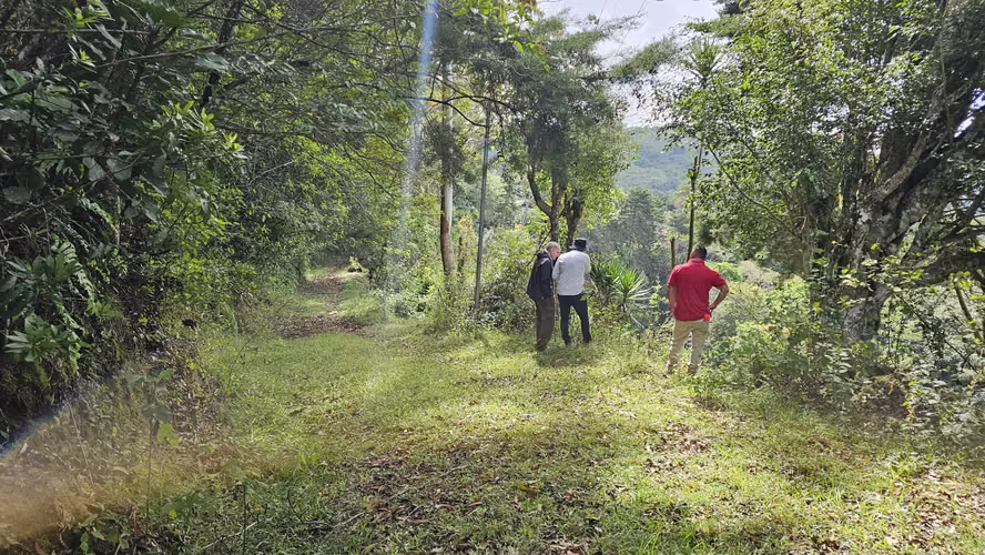 Se Vende Propiedad en Tarbaca con increíbles vistas. - 03
