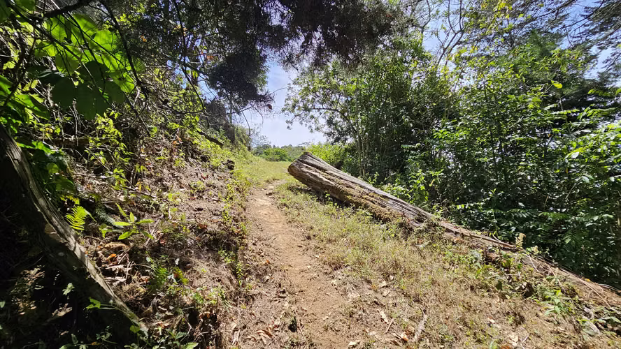Se Vende Propiedad en Tarbaca con increíbles vistas. - 03