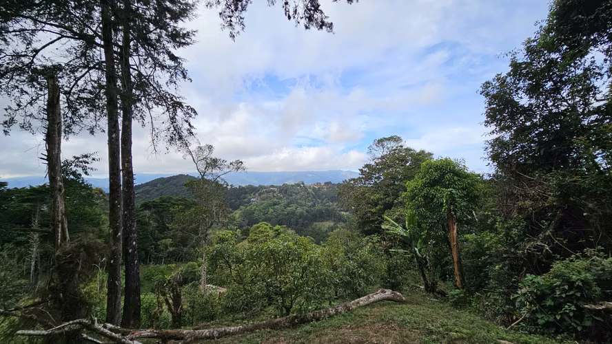 Se Vende Propiedad en Tarbaca con increíbles vistas. - 03