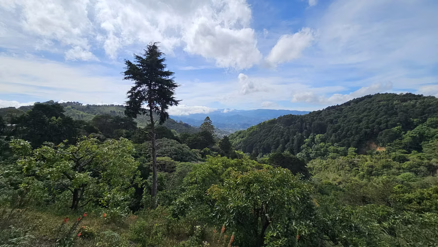 Se Vende Propiedad en Tarbaca con increíbles vistas. - 03