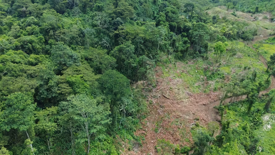 Venta de Finca El Yune en Tres X, Turrialba