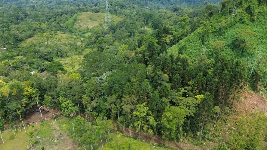 Venta de Finca El Yune en Tres X, Turrialba