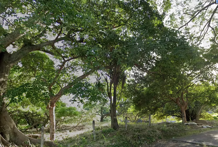Venta Terreno para Desarrollo Residencial | Las Lajas | Alto de Las Palomas, Santa Ana - Imagen 11