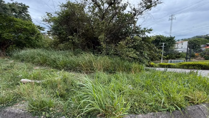 Venta Terreno para Desarrollo Residencial | Las Lajas | Alto de Las Palomas, Santa Ana - Imagen 2