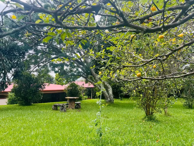 Venta de Casa en San Rafael de Heredia Angeles en lote de 2500 m2 - Imagen 3