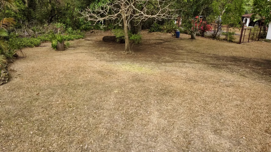 Venta de Terreno residencial en ESCAZU - Imagen 3